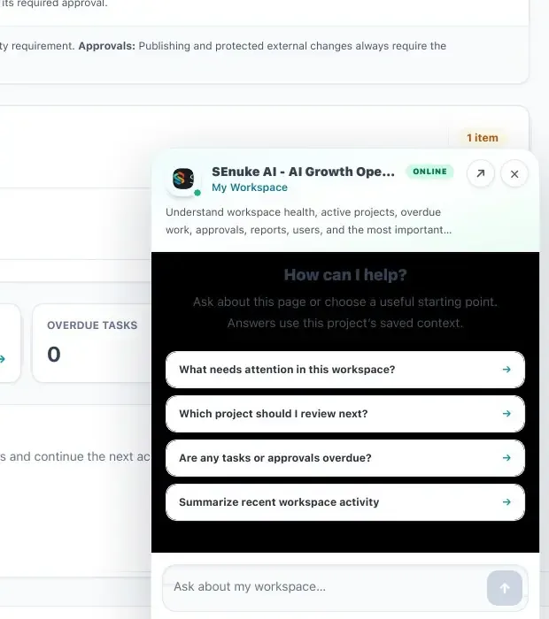 SEnuke AI integrated help assistant with workspace-aware starting questions
